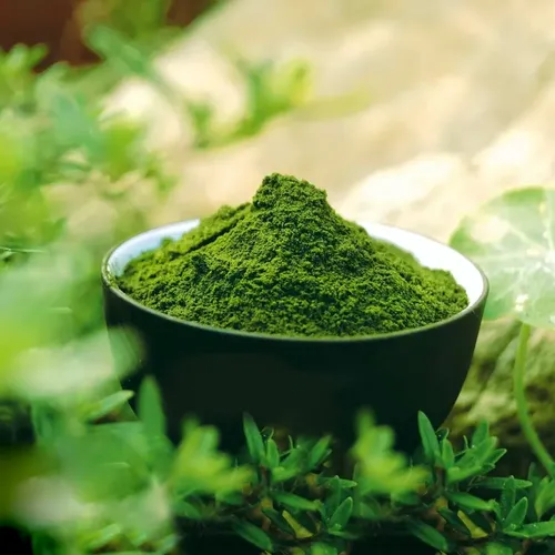 Organic Export Products